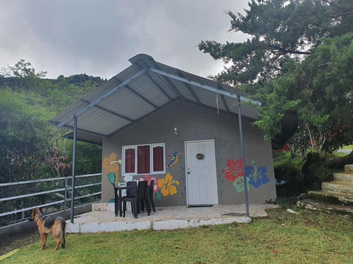 Cabanas Mountain View Volcan Ngoại thất bức ảnh